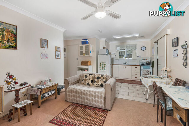 255 Alderley Street CENTENARY HEIGHTS QLD 4350