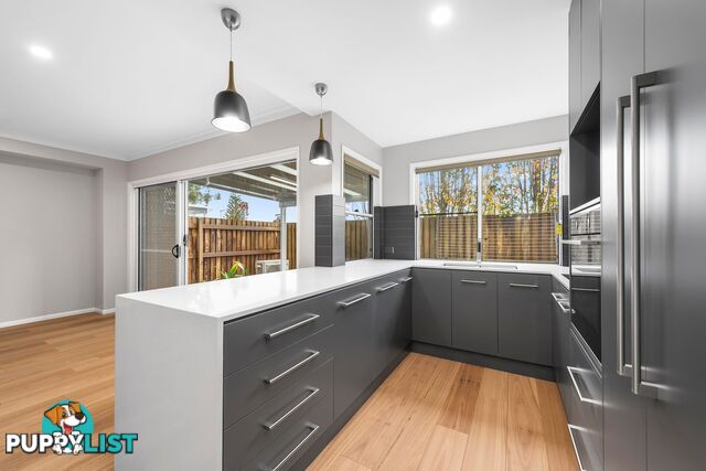 4/43 Long Street RANGEVILLE QLD 4350