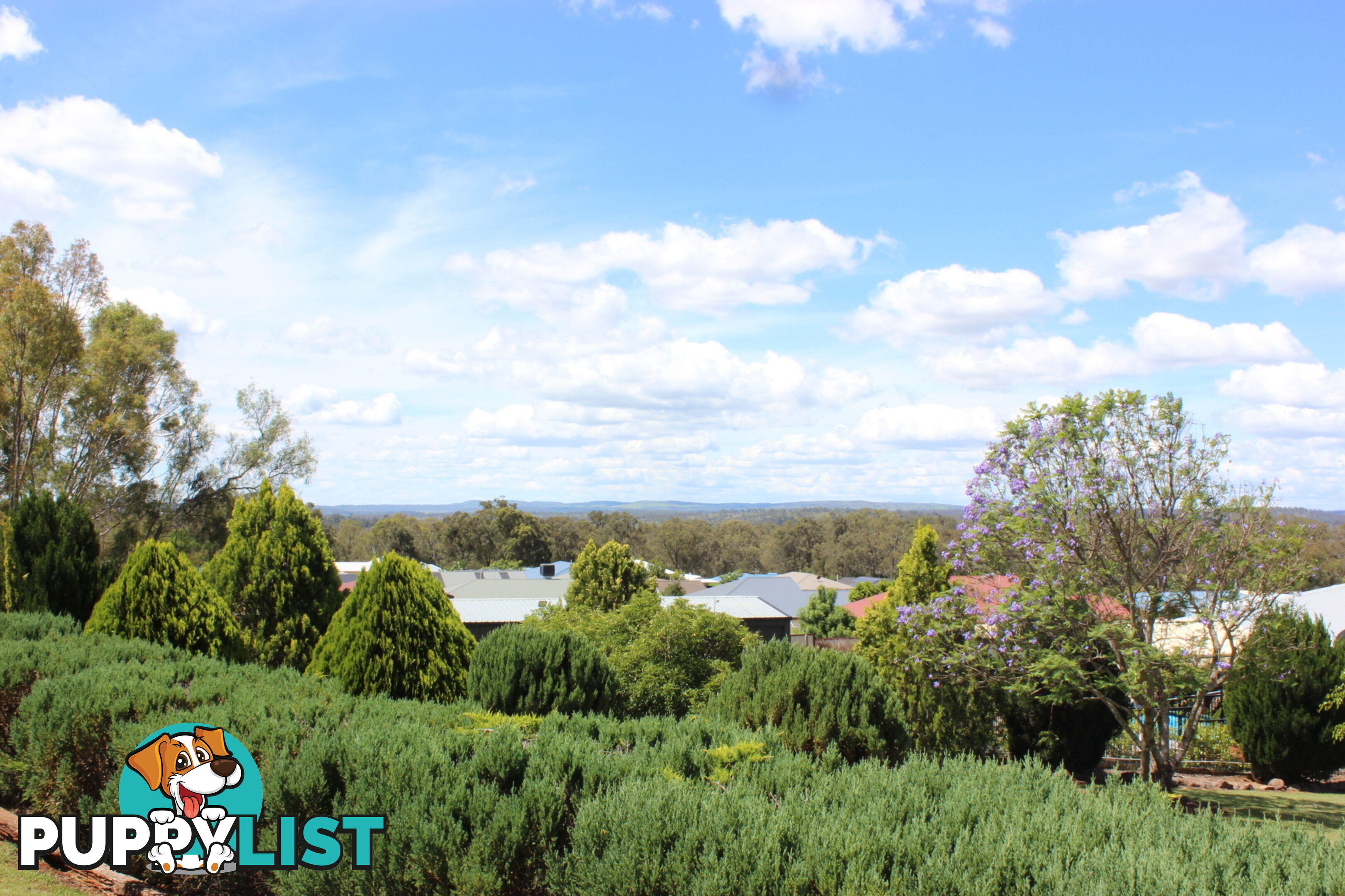 13 Kurrajong Court MERINGANDAN WEST QLD 4352