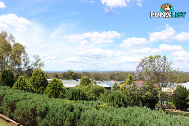 13 Kurrajong Court MERINGANDAN WEST QLD 4352