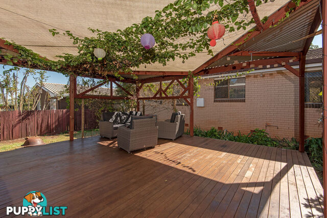 6 Boyett Street CENTENARY HEIGHTS QLD 4350