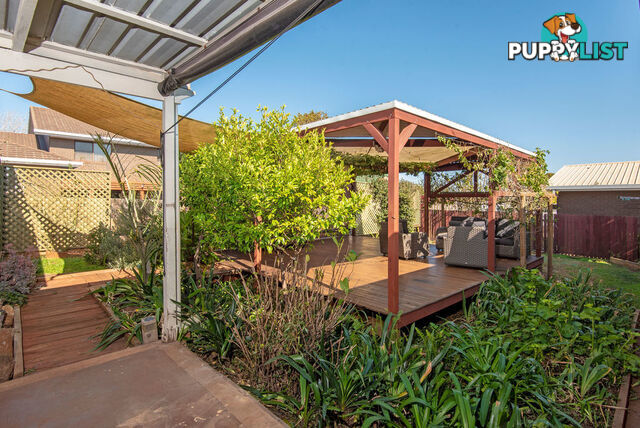 6 Boyett Street CENTENARY HEIGHTS QLD 4350