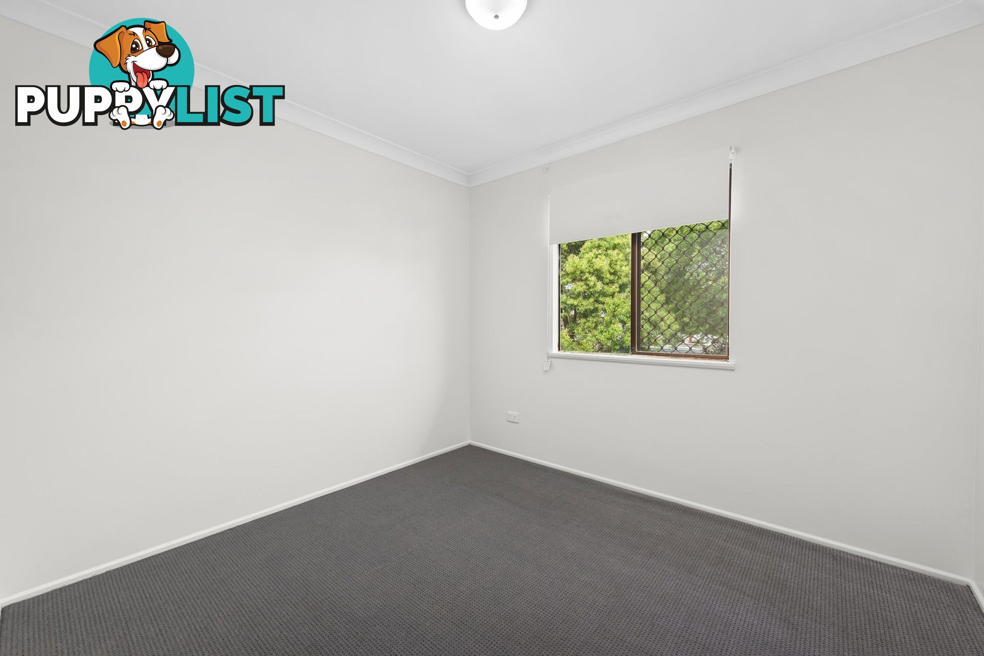 89 Ruthven Street HARLAXTON QLD 4350