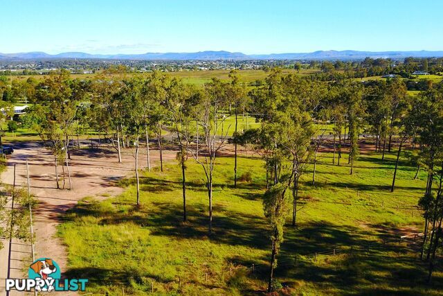 97 Redbank Creek Road ADARE QLD 4343