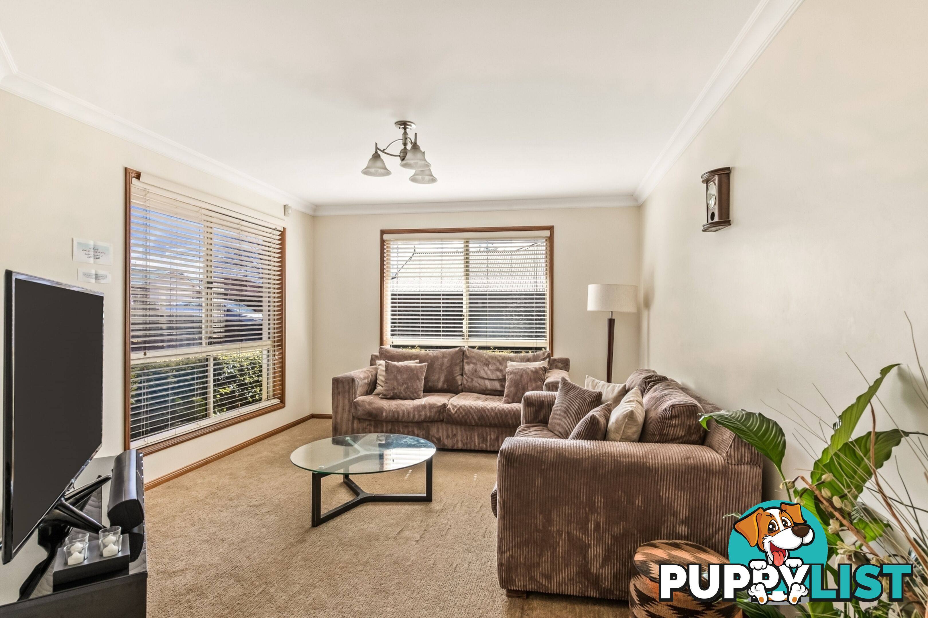 38 Jack Street DARLING HEIGHTS QLD 4350