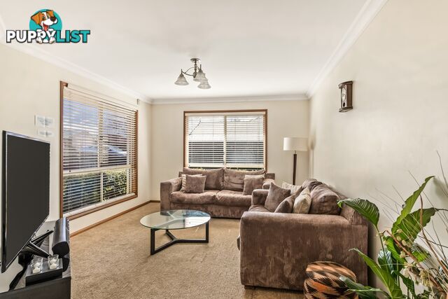 38 Jack Street DARLING HEIGHTS QLD 4350