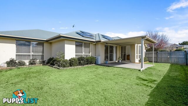 38 Jack Street DARLING HEIGHTS QLD 4350