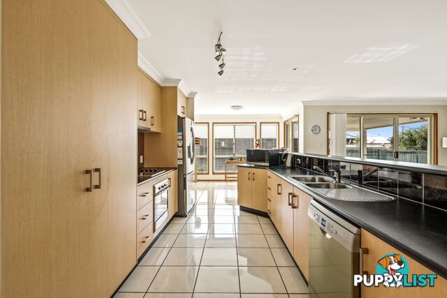 38 Jack Street DARLING HEIGHTS QLD 4350