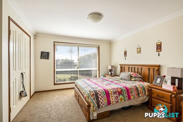 38 Jack Street DARLING HEIGHTS QLD 4350
