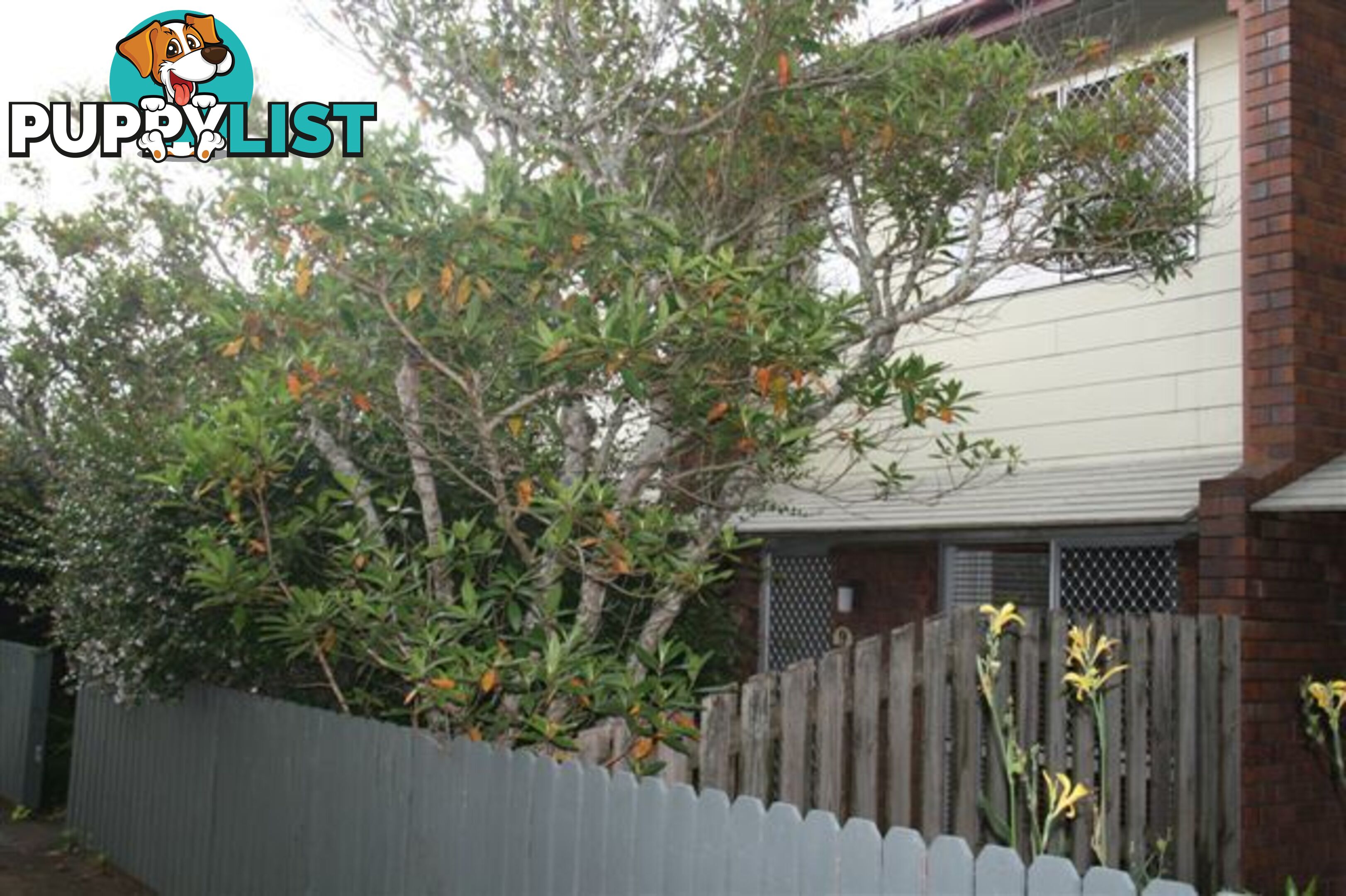 9/6 O'Brien Street HARLAXTON QLD 4350