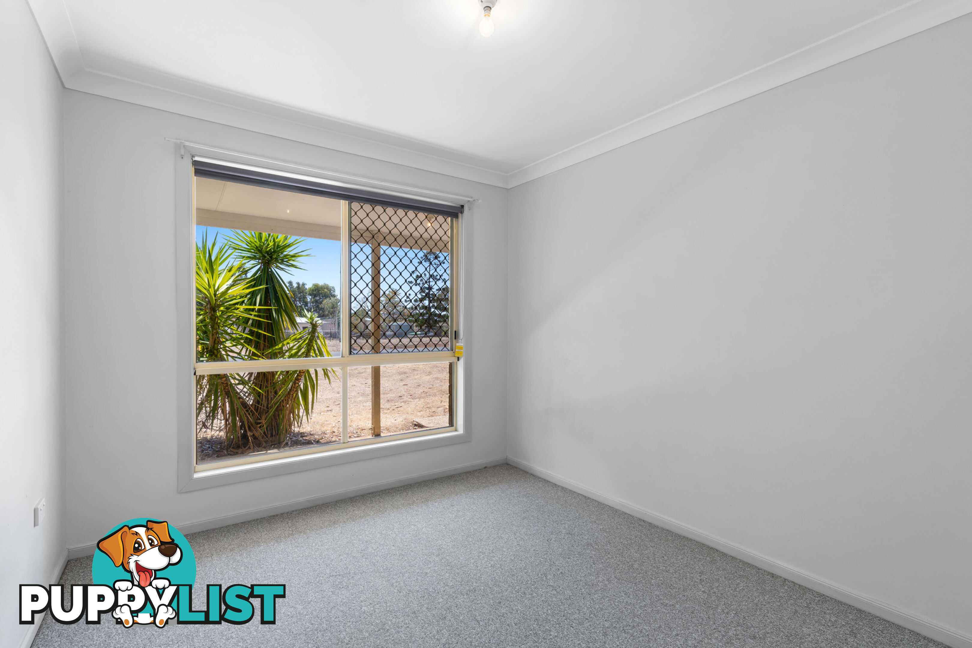 9 George Street CAMBOOYA QLD 4358