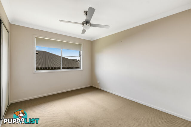 18 Felix Street CRANLEY QLD 4350