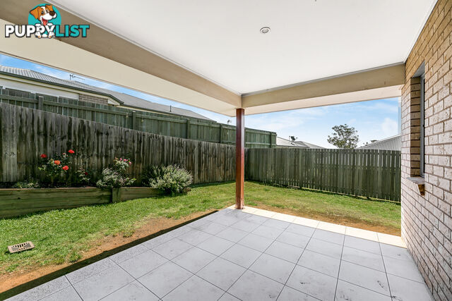 18 Felix Street CRANLEY QLD 4350