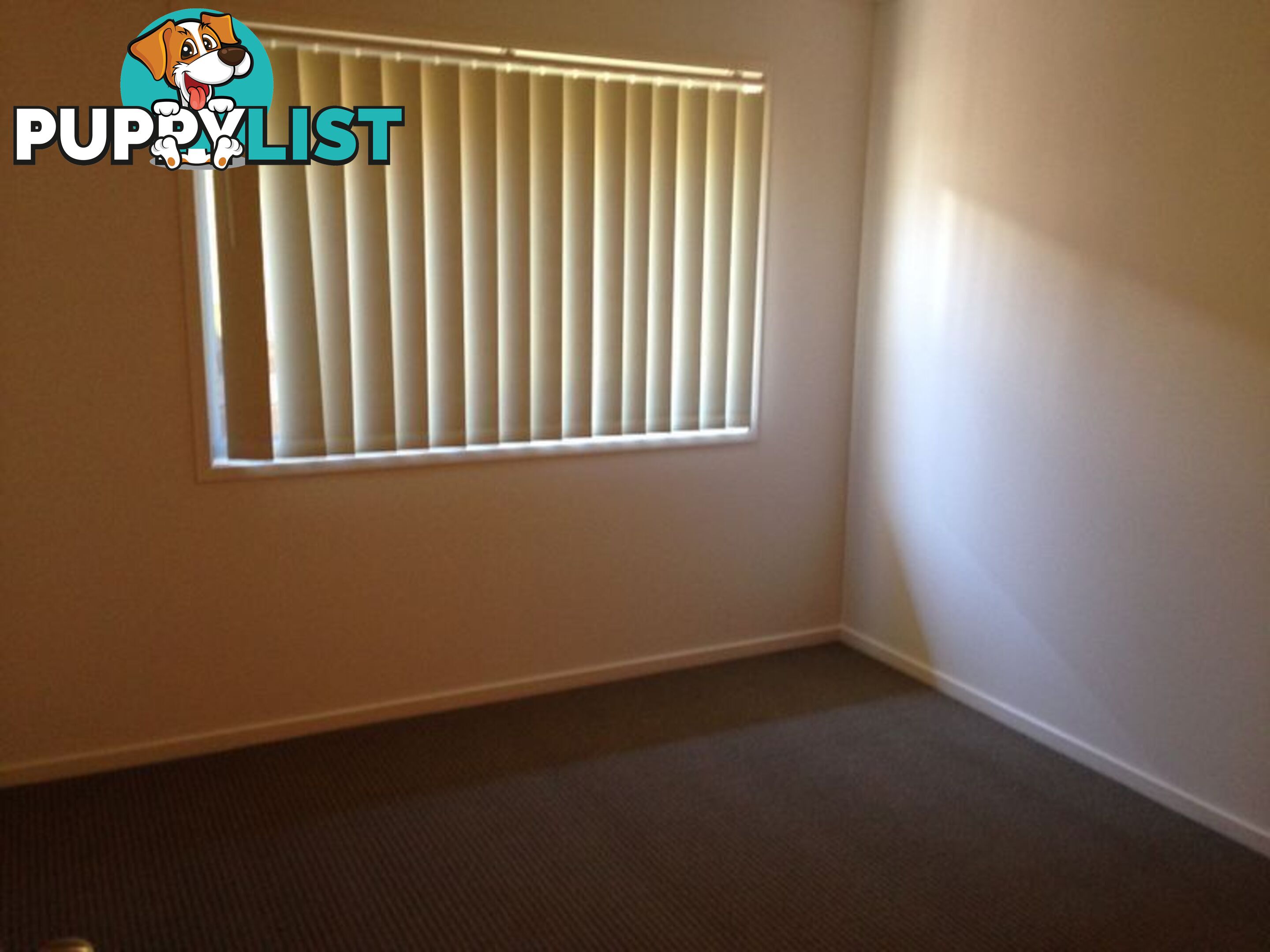 1/11 Carlin Street GLENVALE QLD 4350