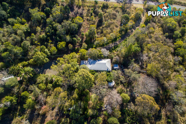 487 Rockmount Road ROCKMOUNT QLD 4344