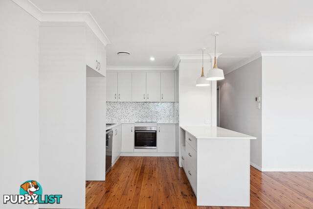 13 Angus Street RANGEVILLE QLD 4350