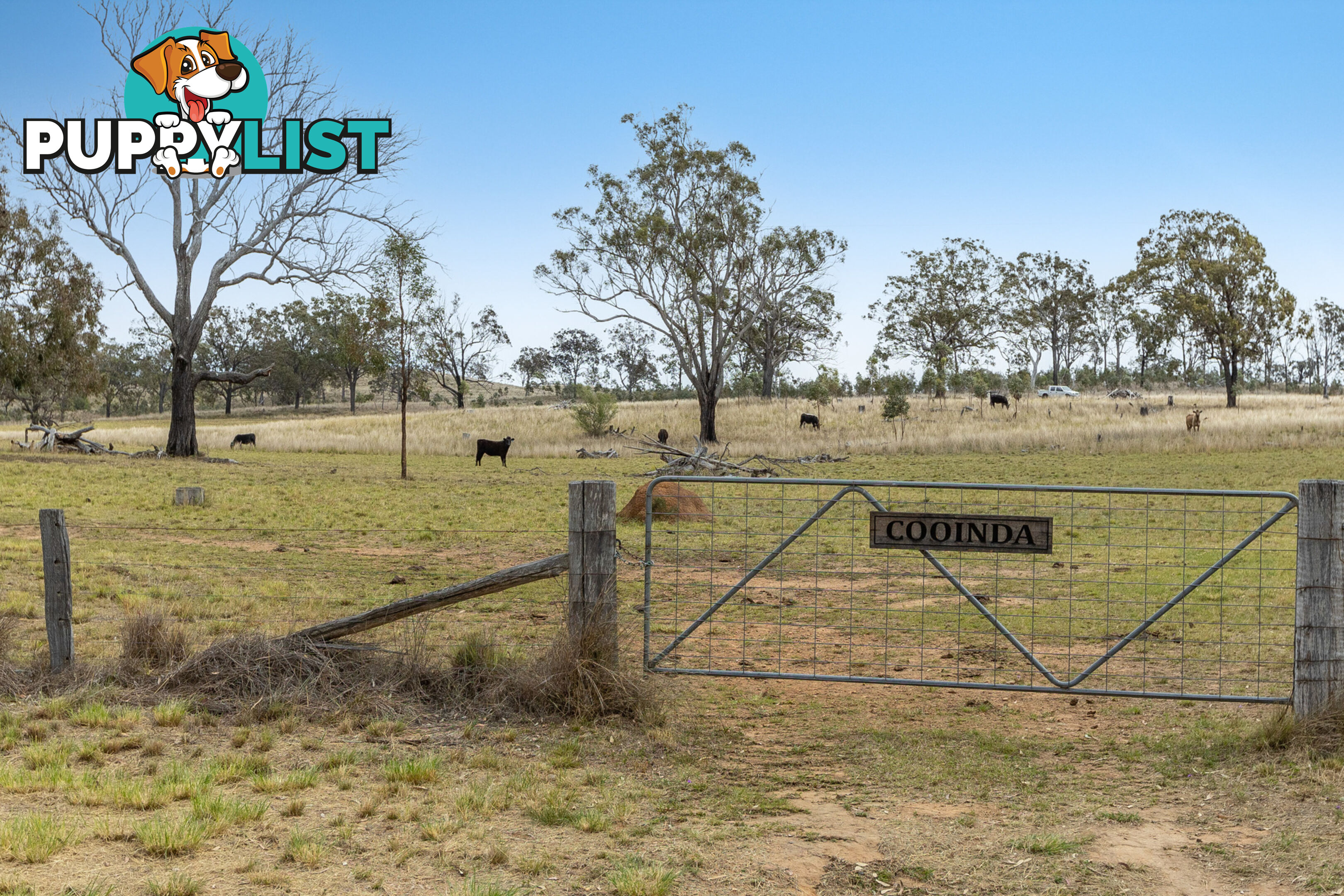 608 Mountain Maid Road GREYMARE QLD 4370