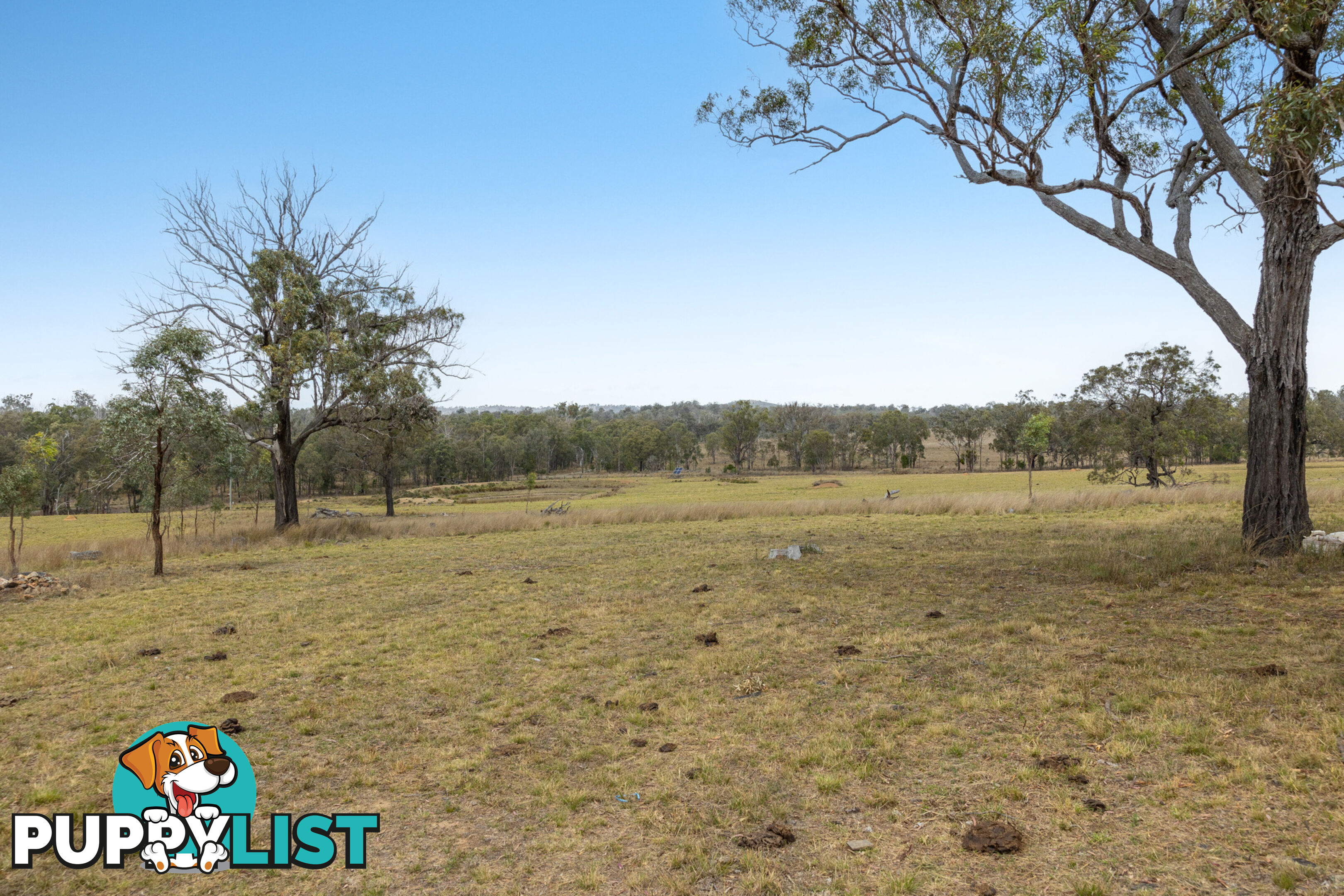 608 Mountain Maid Road GREYMARE QLD 4370