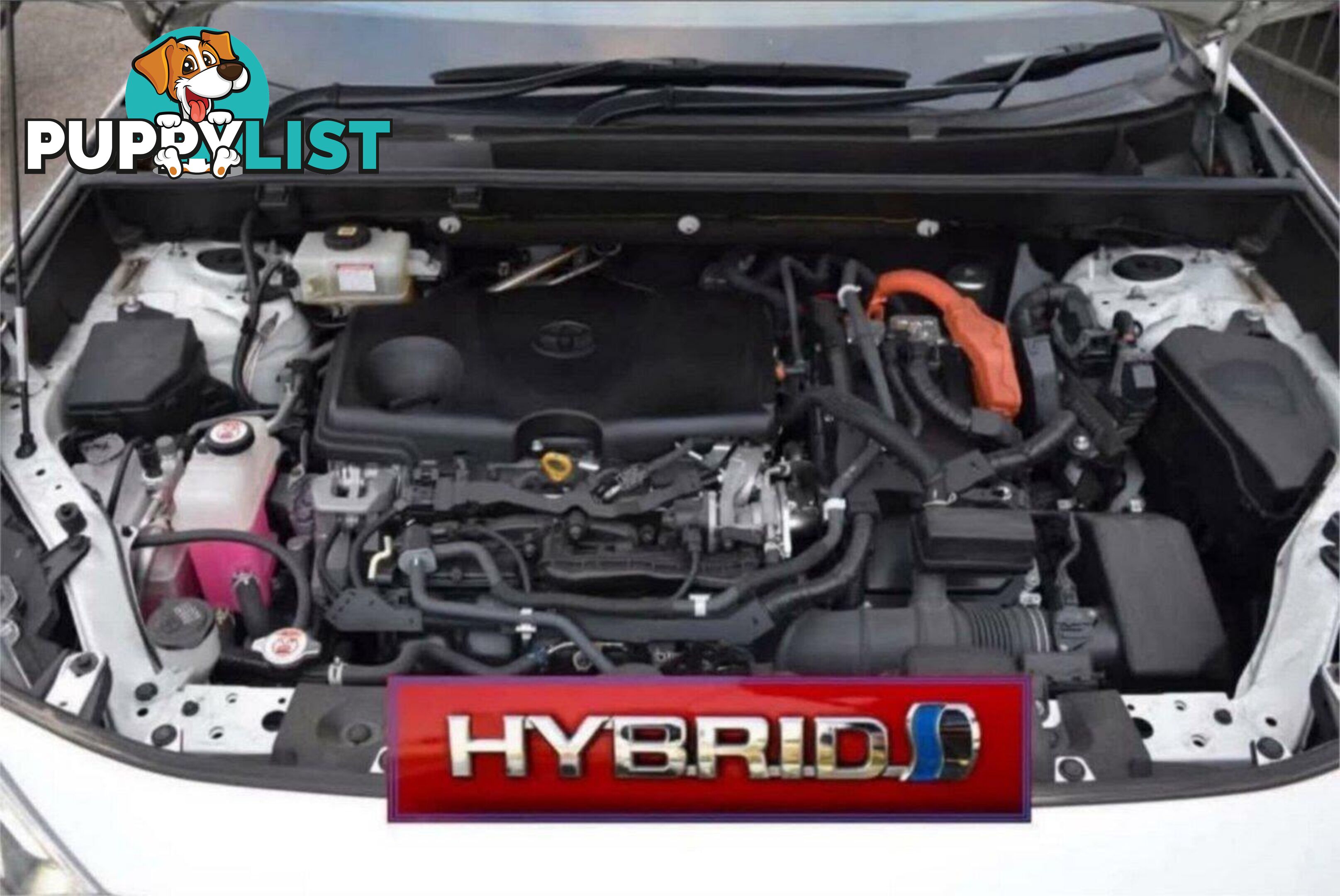 2020 TOYOTA RAV4 GX (AWD) HYBRID AXAH54R SUV