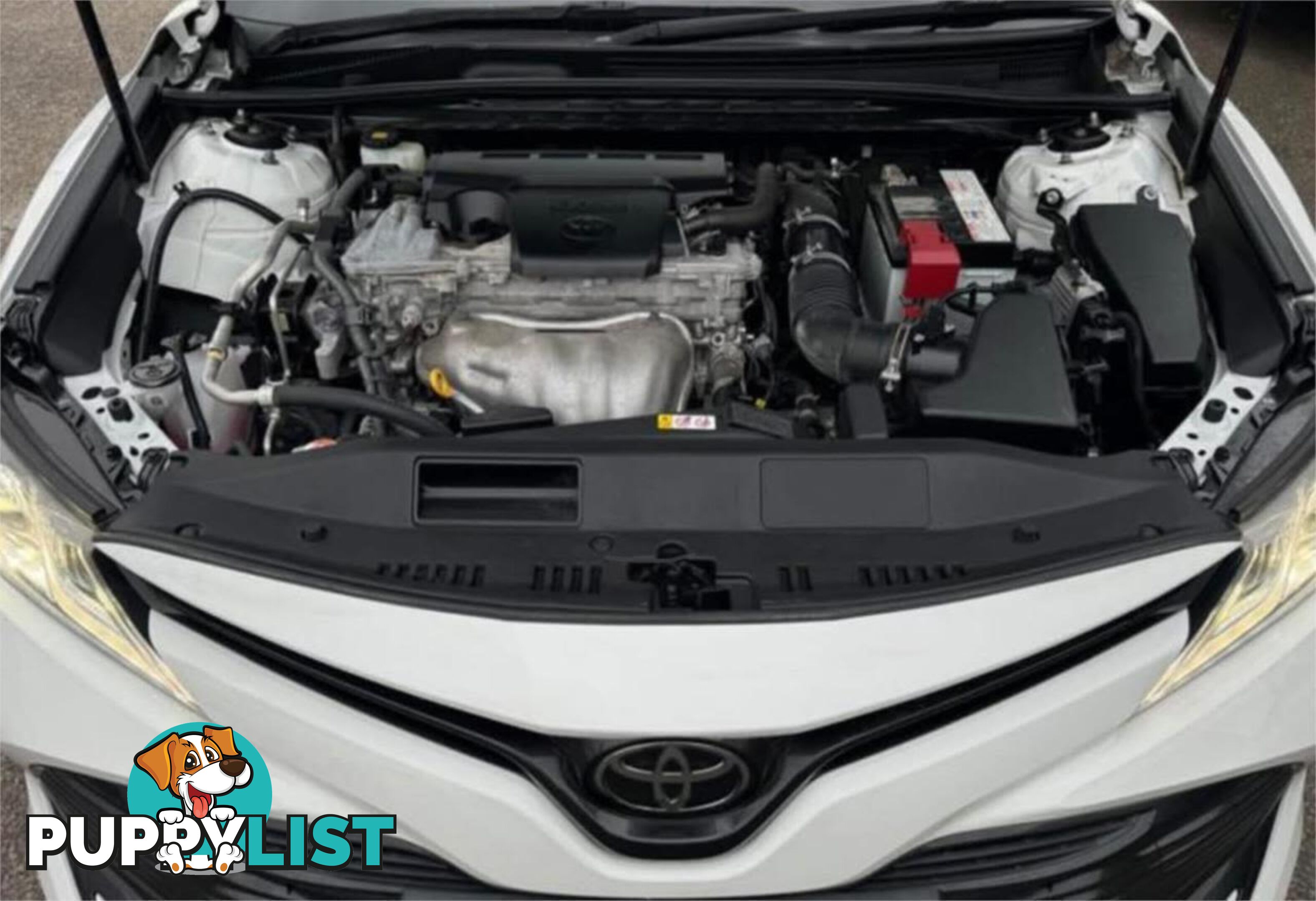2019 TOYOTA CAMRY ASCENT ASV70R MY19 SEDAN
