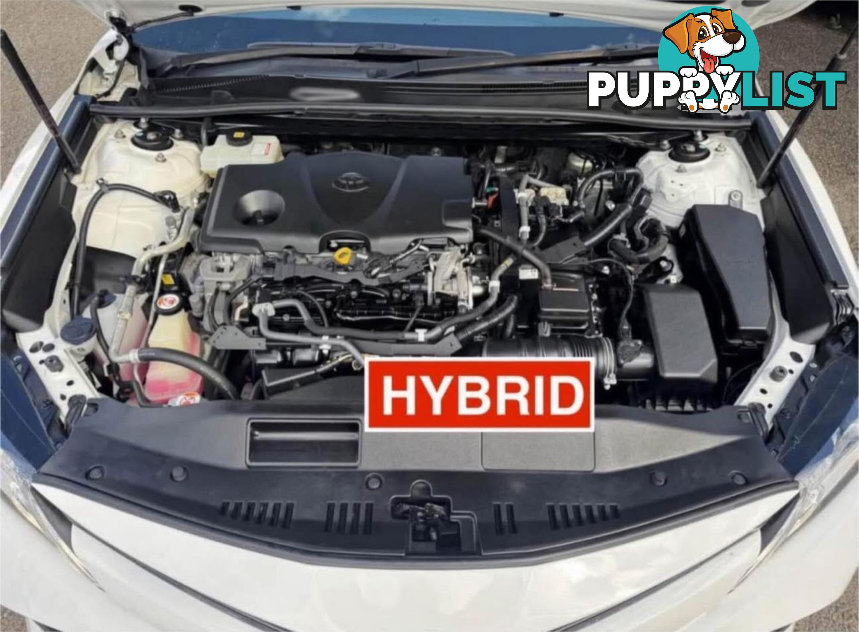 2018 TOYOTA CAMRY ASCENT (HYBRID) AXVH71R MY19 SEDAN