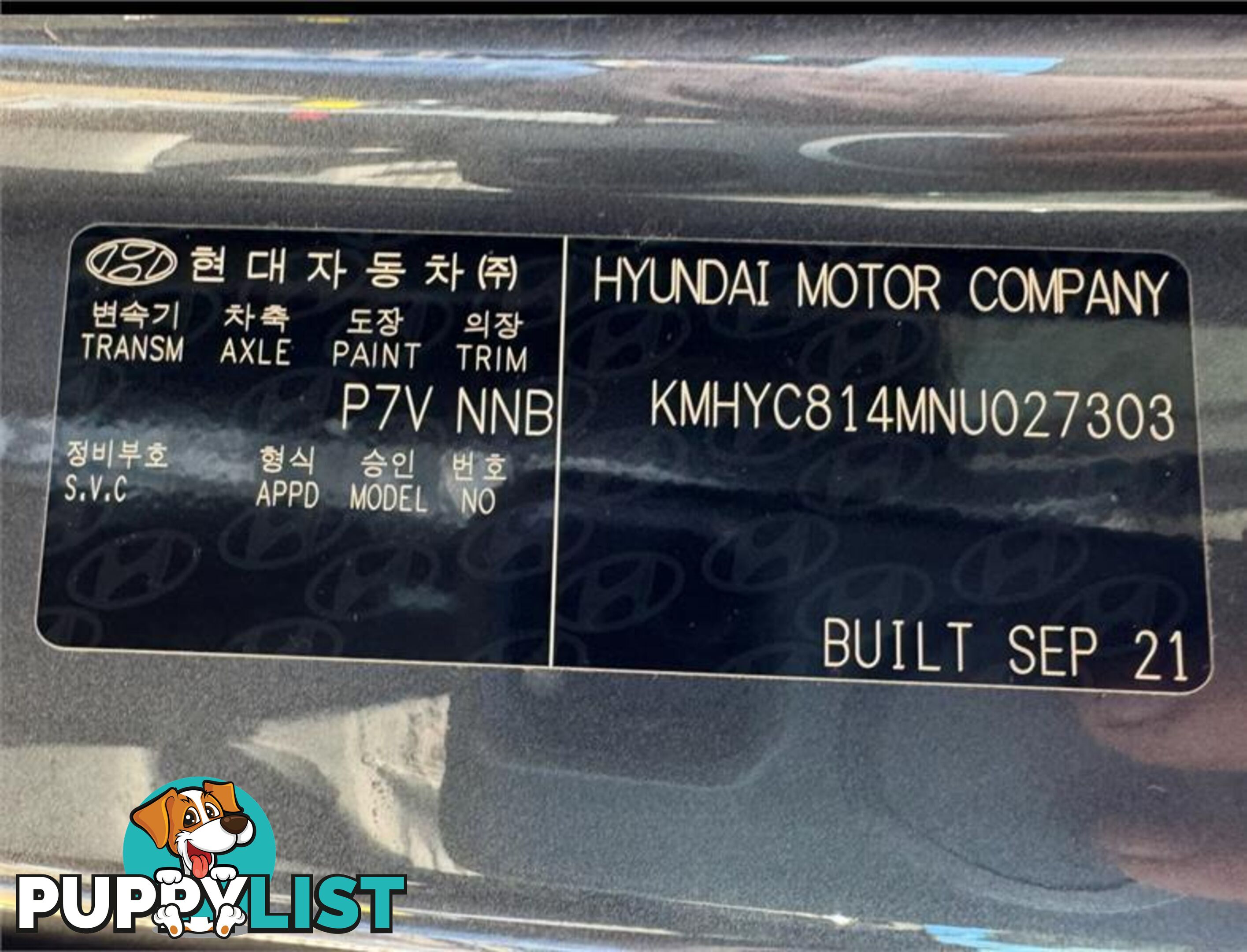 2021 HYUNDAI STARIA  US4.V1 MY22 WAGON
