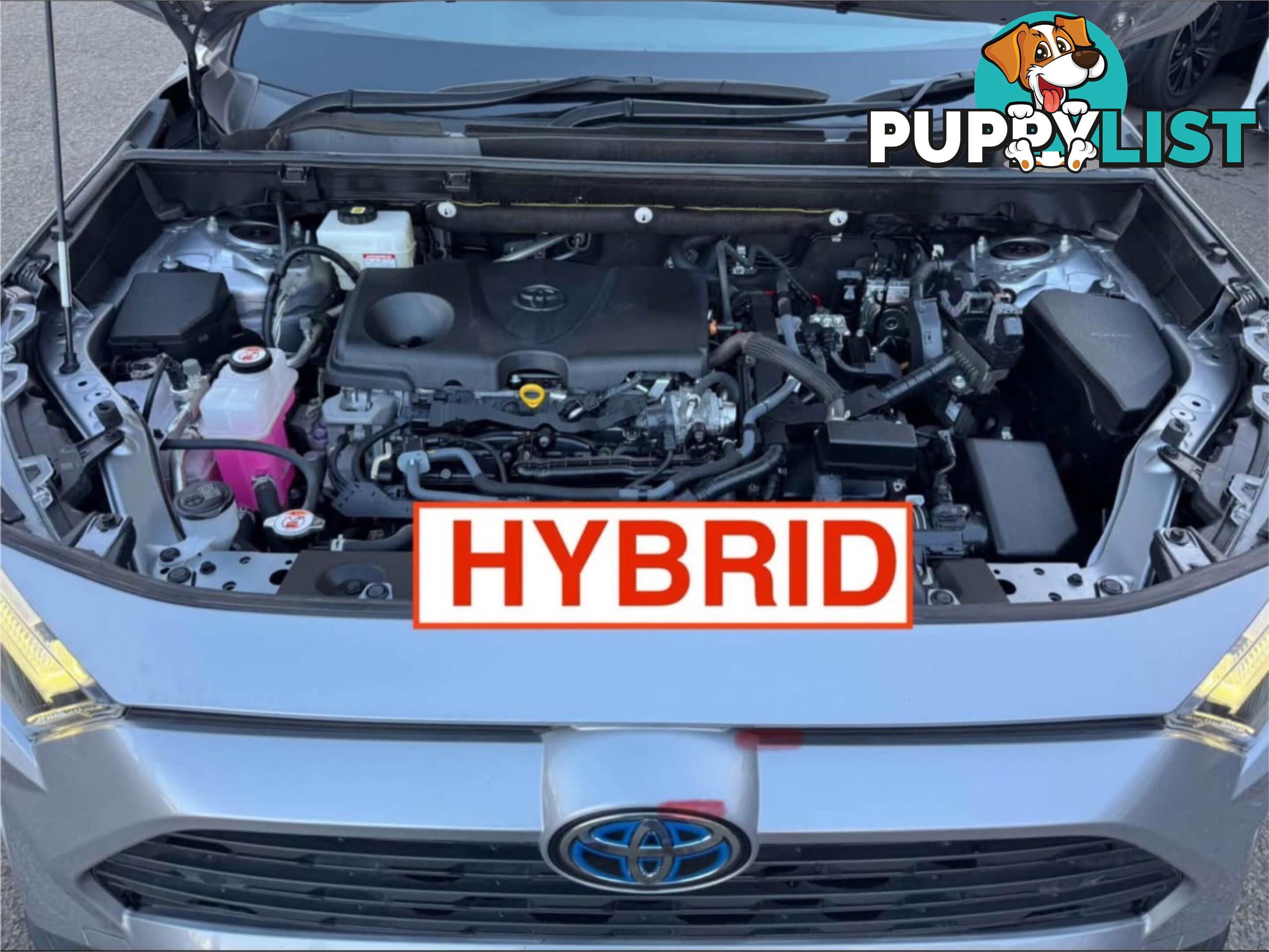 2022 TOYOTA RAV4 GX (2WD) HYBRID AXAH52R SUV