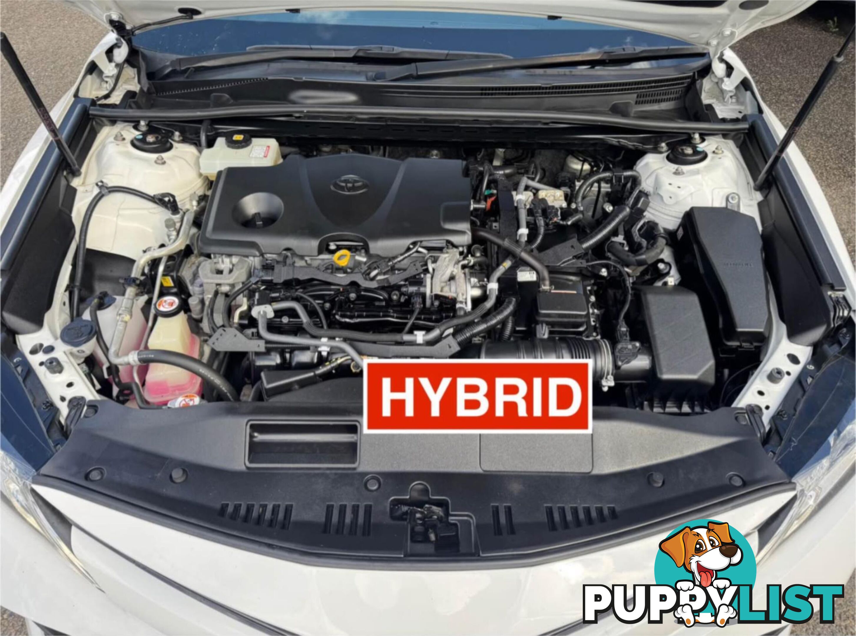 2019 TOYOTA CAMRY ASCENT (HYBRID) AXVH71R MY19 SEDAN