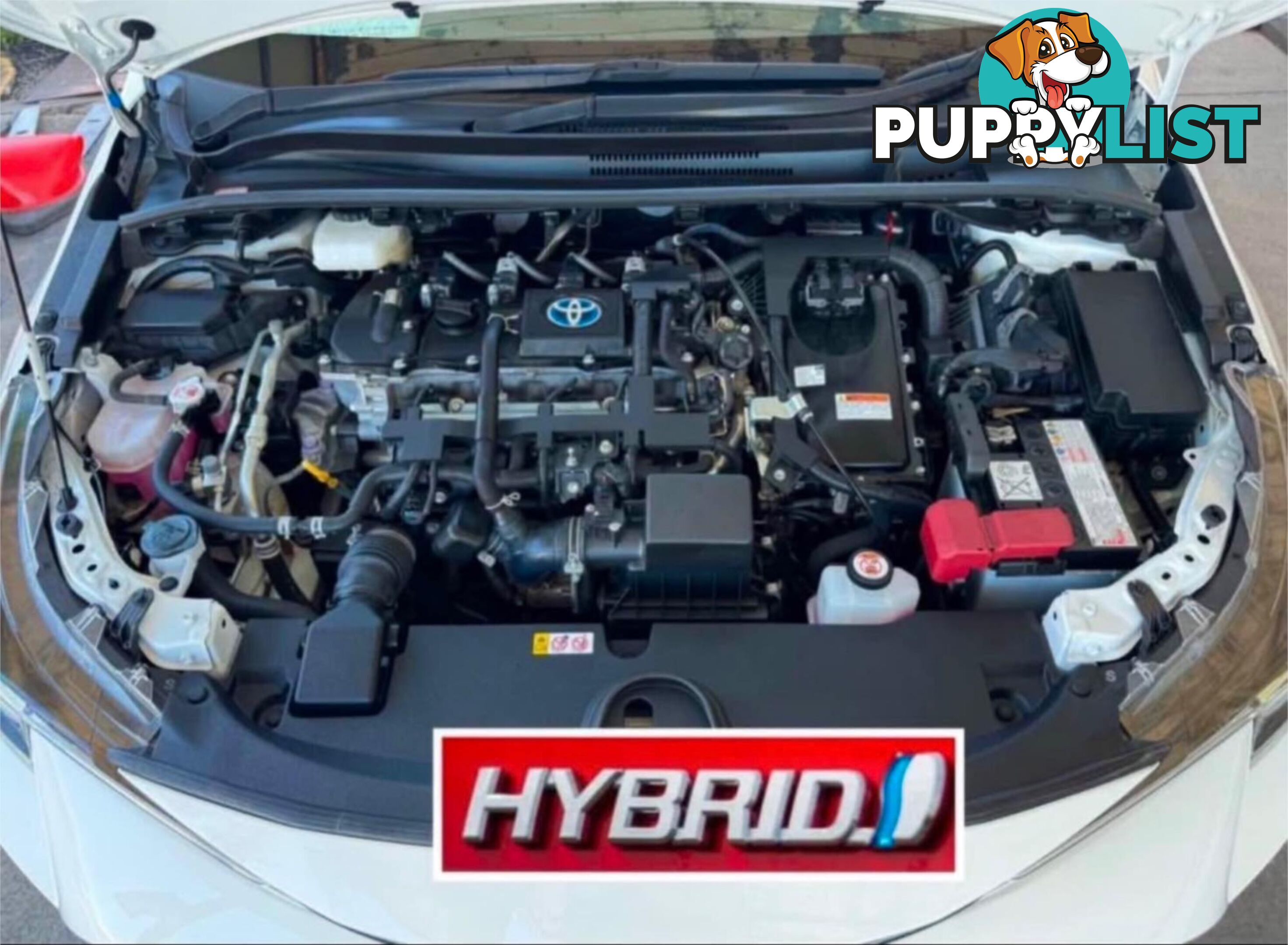 2018 TOYOTA COROLLA ASCENT SPORT (HYBRID) ZWE211R HATCHBACK