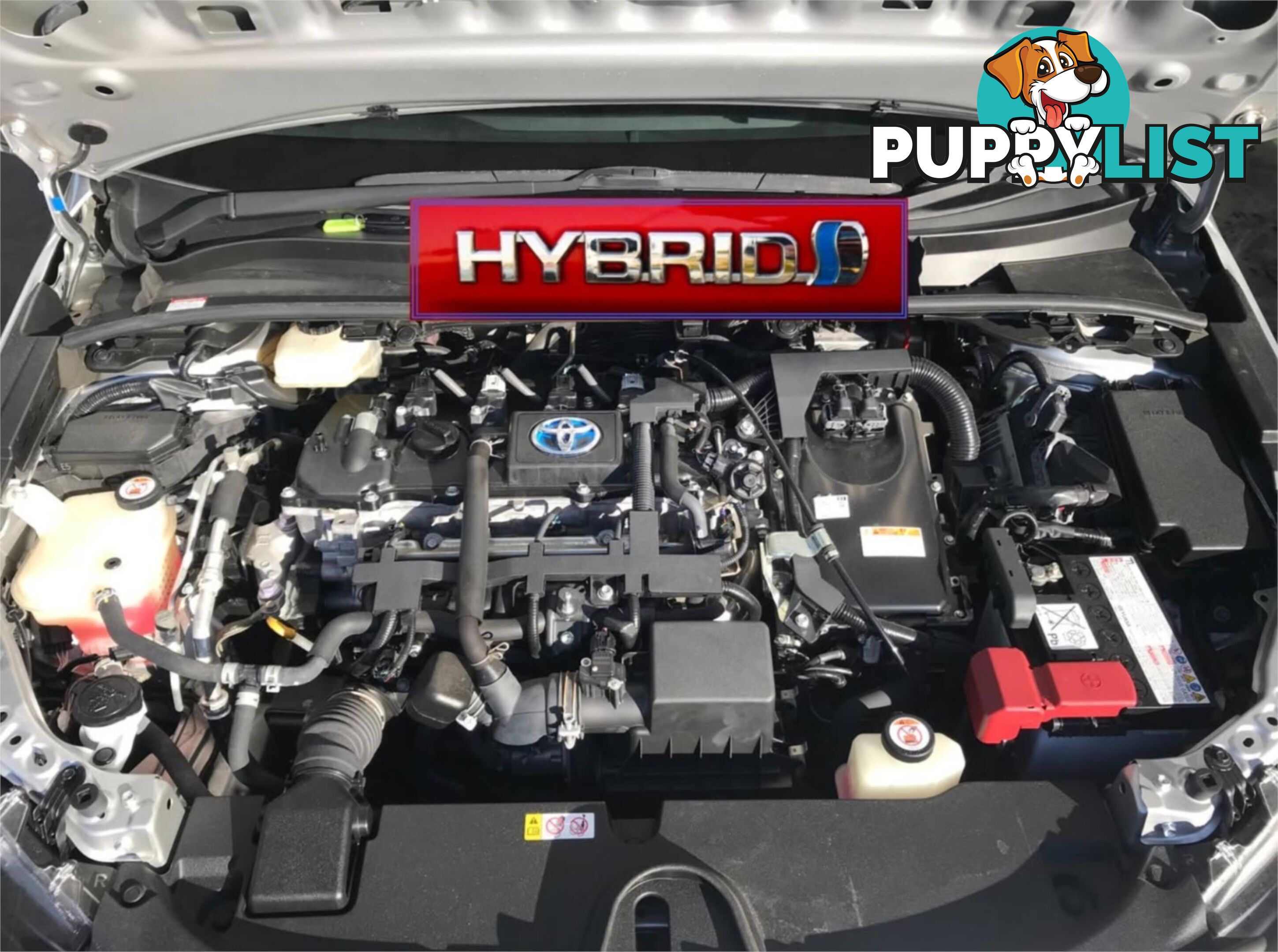 2019 TOYOTA COROLLA ASCENT SPORT (HYBRID) ZWE211R HATCHBACK