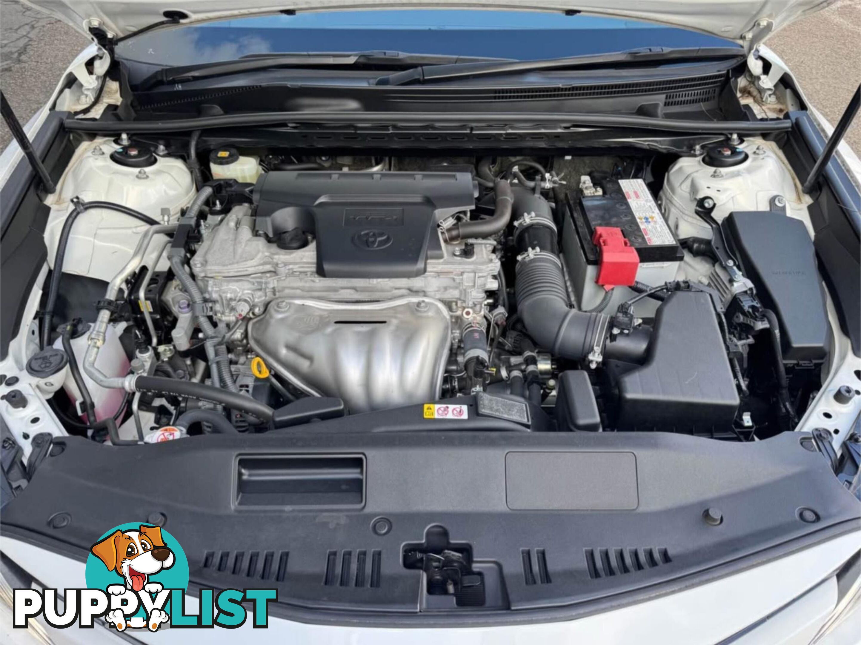 2019 TOYOTA CAMRY ASCENT ASV70R MY19 SEDAN