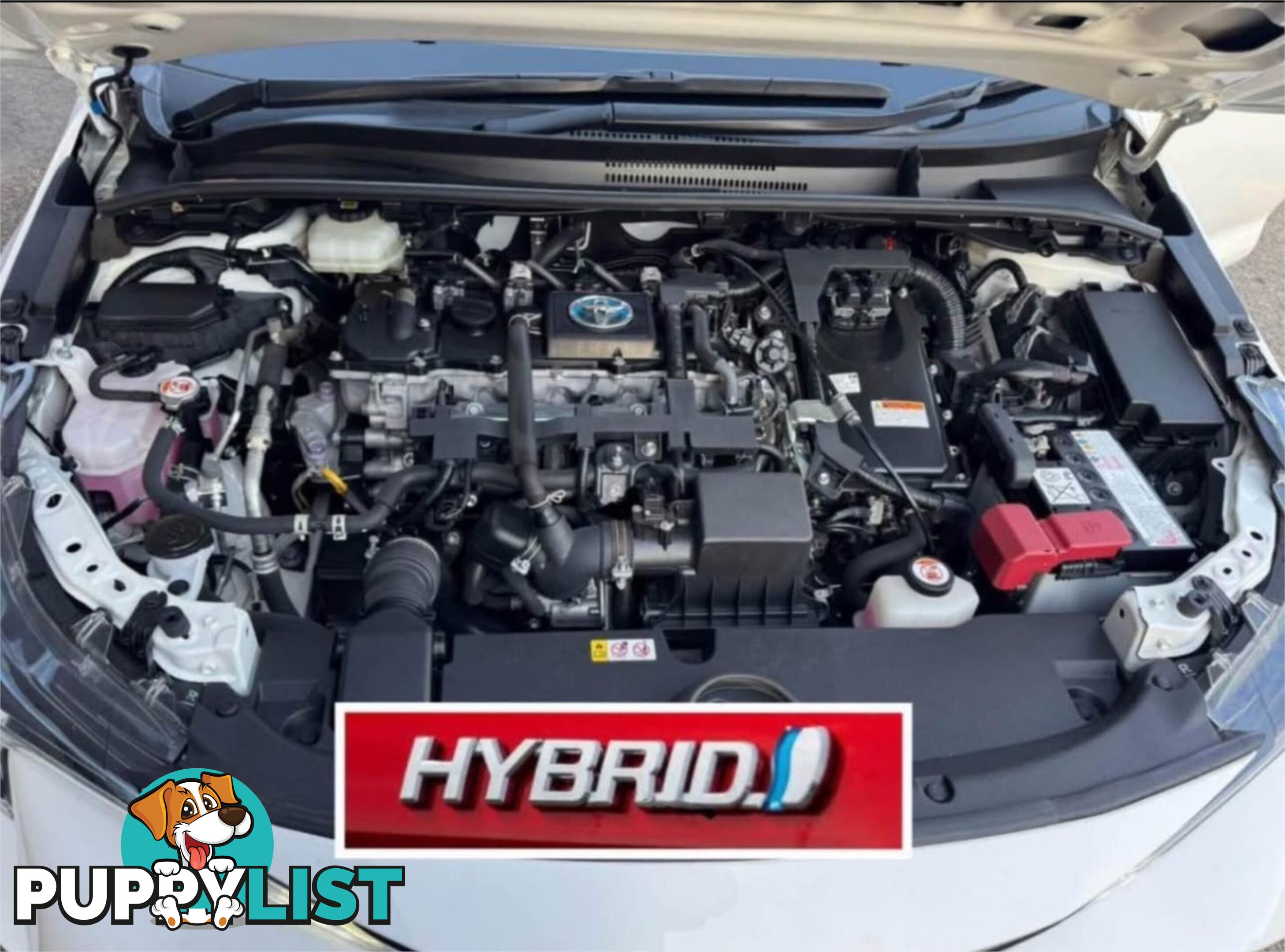 2023 TOYOTA COROLLA ASCENT SPORT HYBRID ZWE219R HATCHBACK