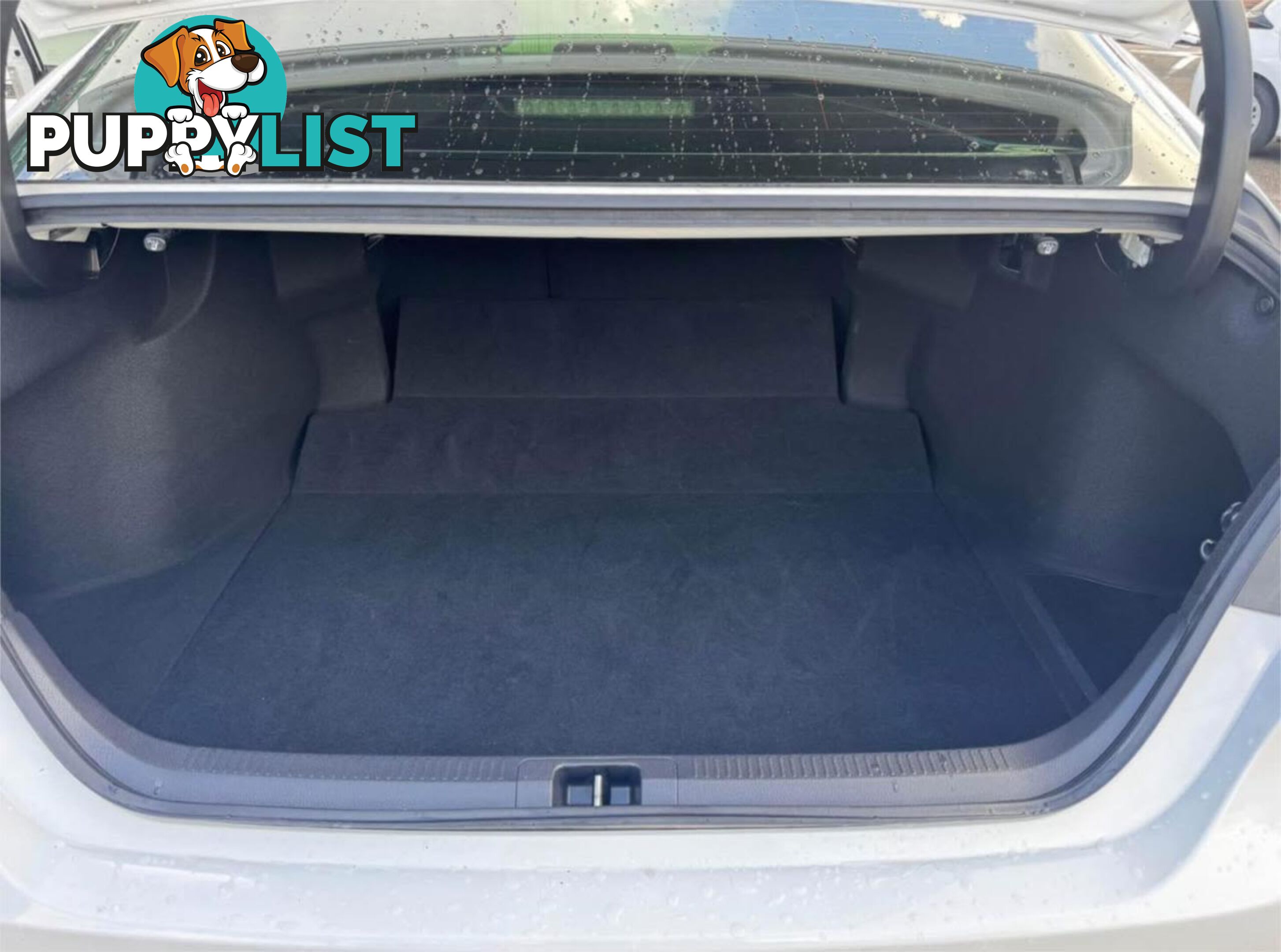 2019 TOYOTA CAMRY ASCENT (HYBRID) AXVH71R MY19 SEDAN