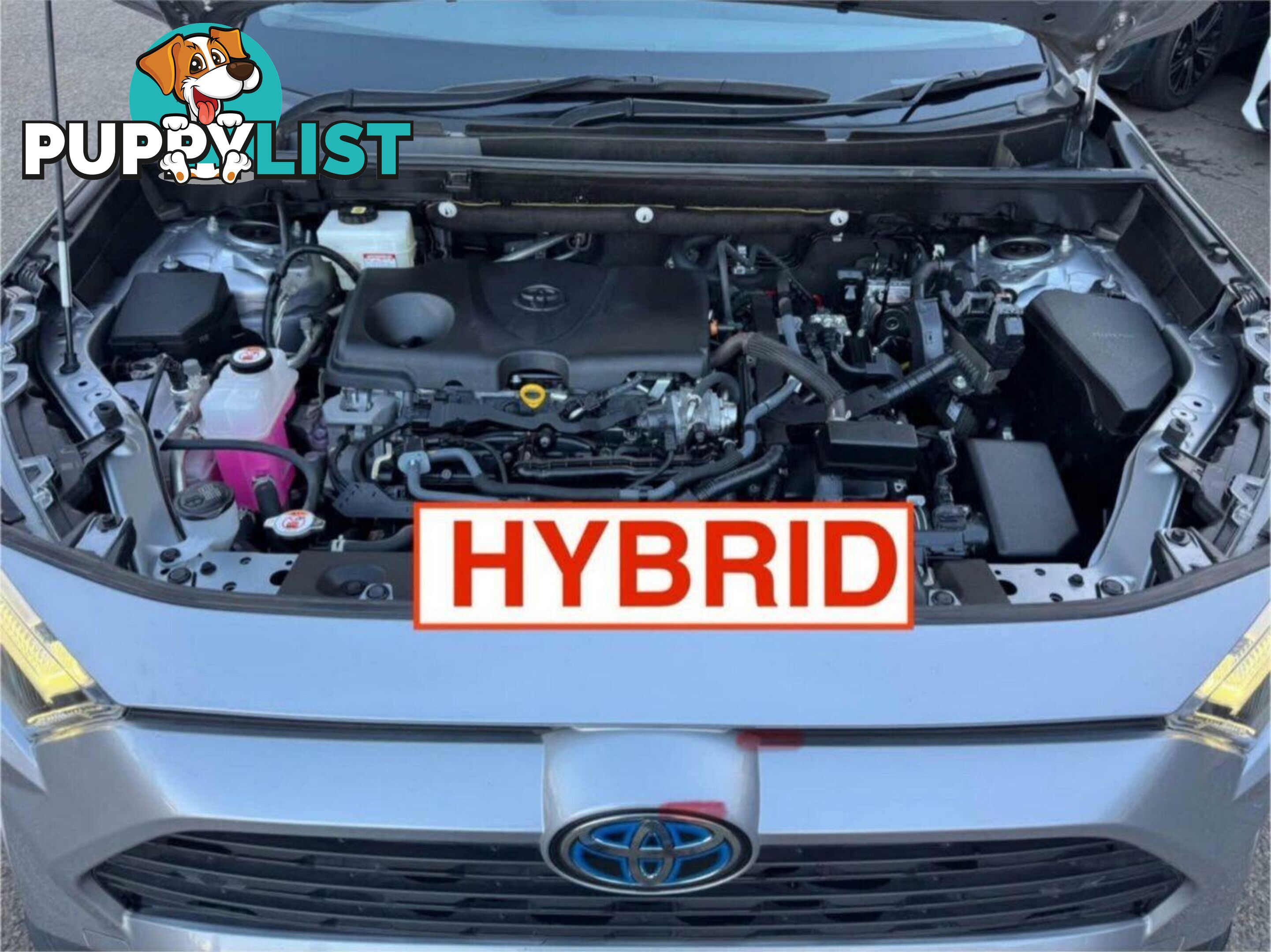 2022 TOYOTA RAV4 GX (2WD) HYBRID AXAH52R SUV