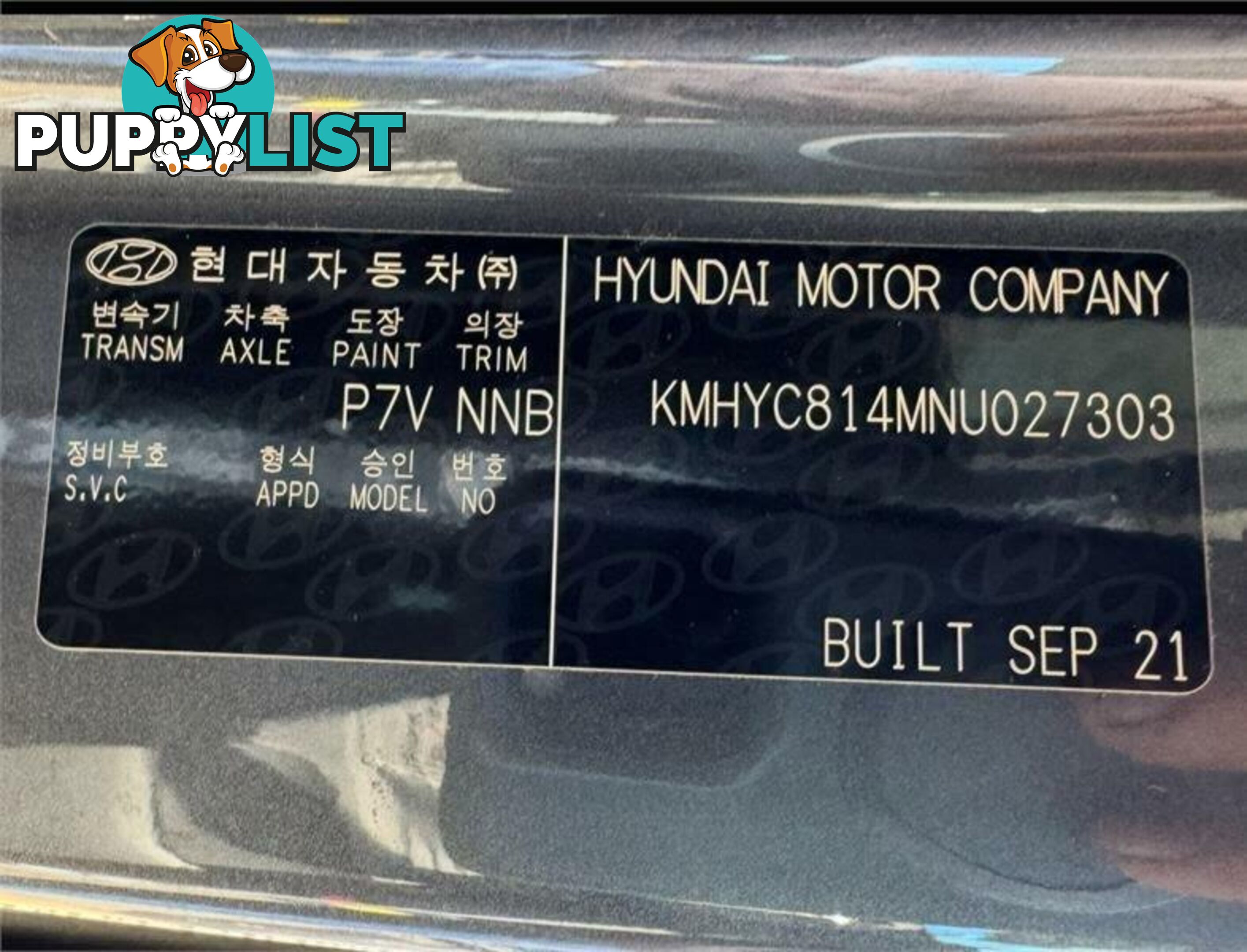 2021 HYUNDAI STARIA  US4.V1 MY22 WAGON