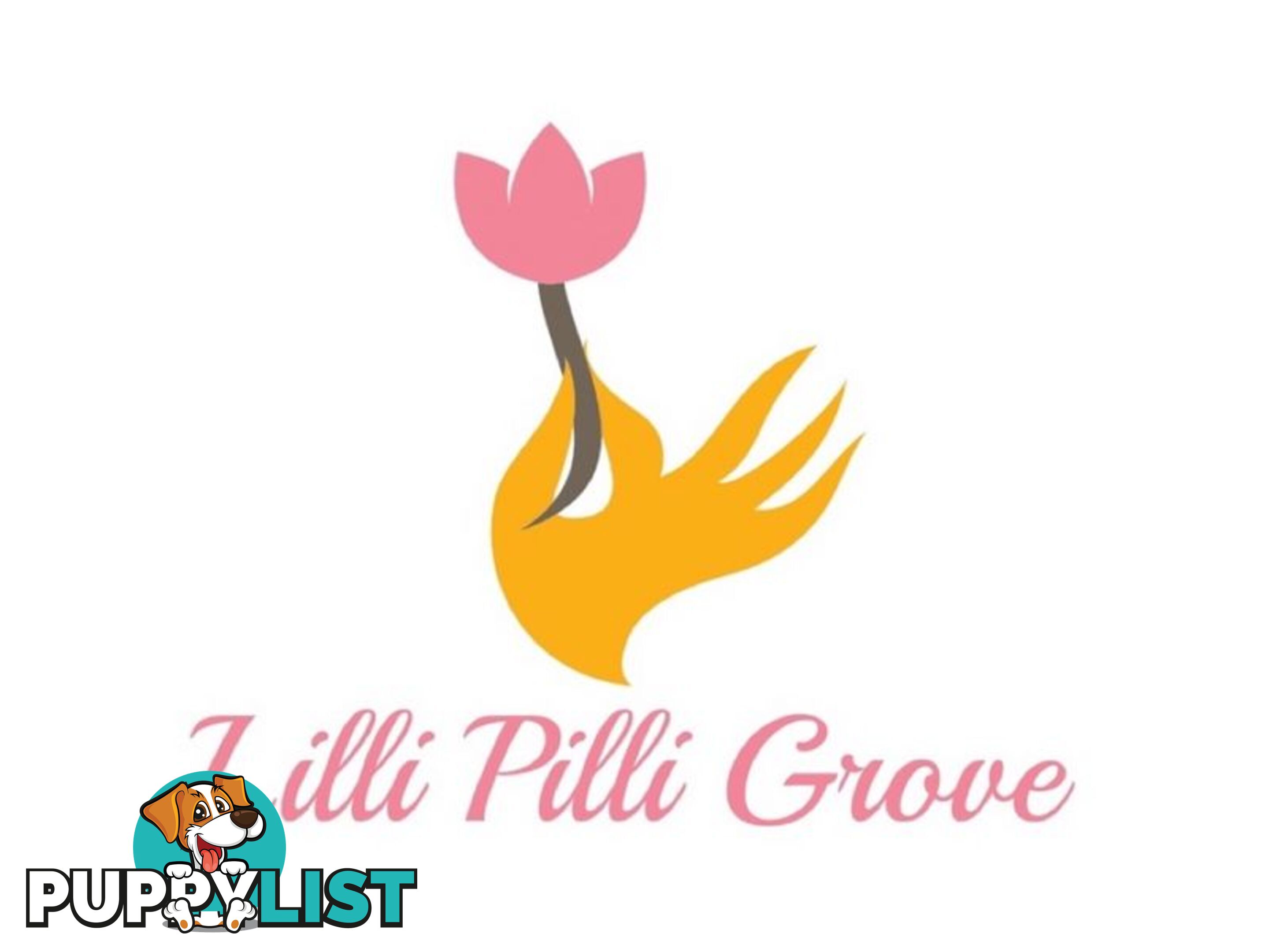 Lilli Pill - Stage 1 Release LILLI PILLI NSW 2536