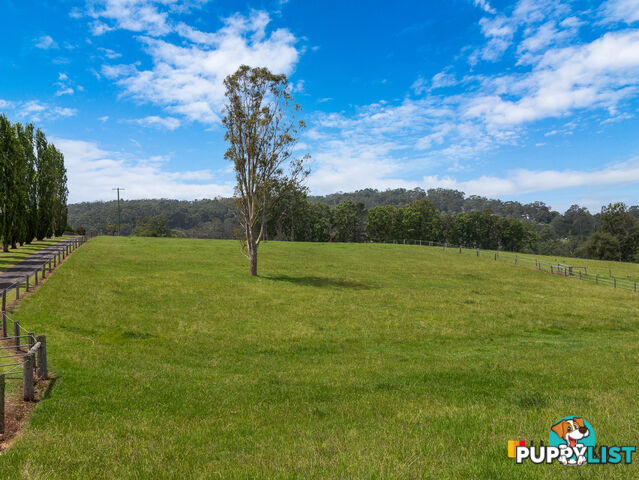 470 Larrys Mountain Road MOGENDOURA NSW 2537