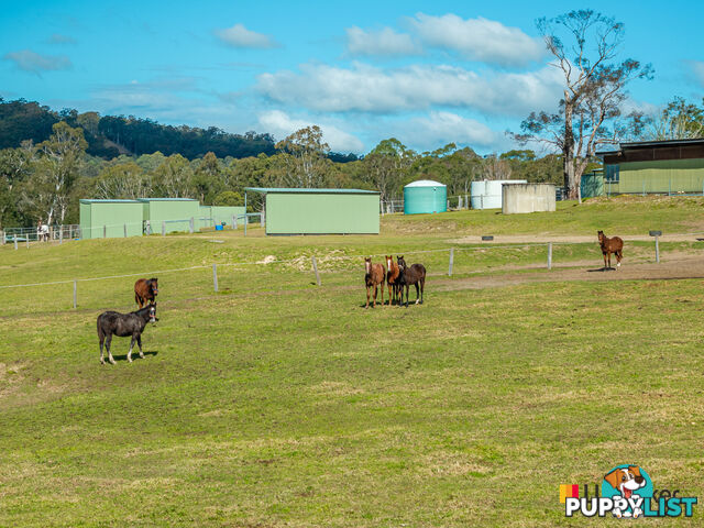 470 Larrys Mountain Road MOGENDOURA NSW 2537