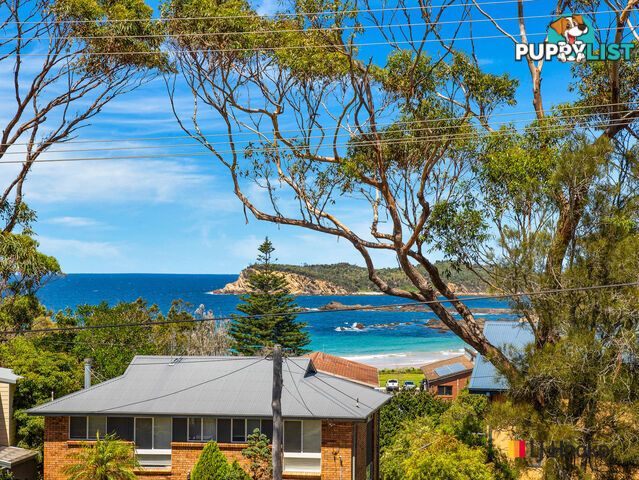 15 Nioka Avenue MALUA BAY NSW 2536
