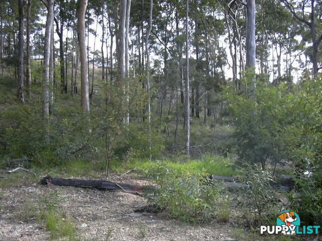 Lots 21 & Jarrah Way MALUA BAY NSW 2536