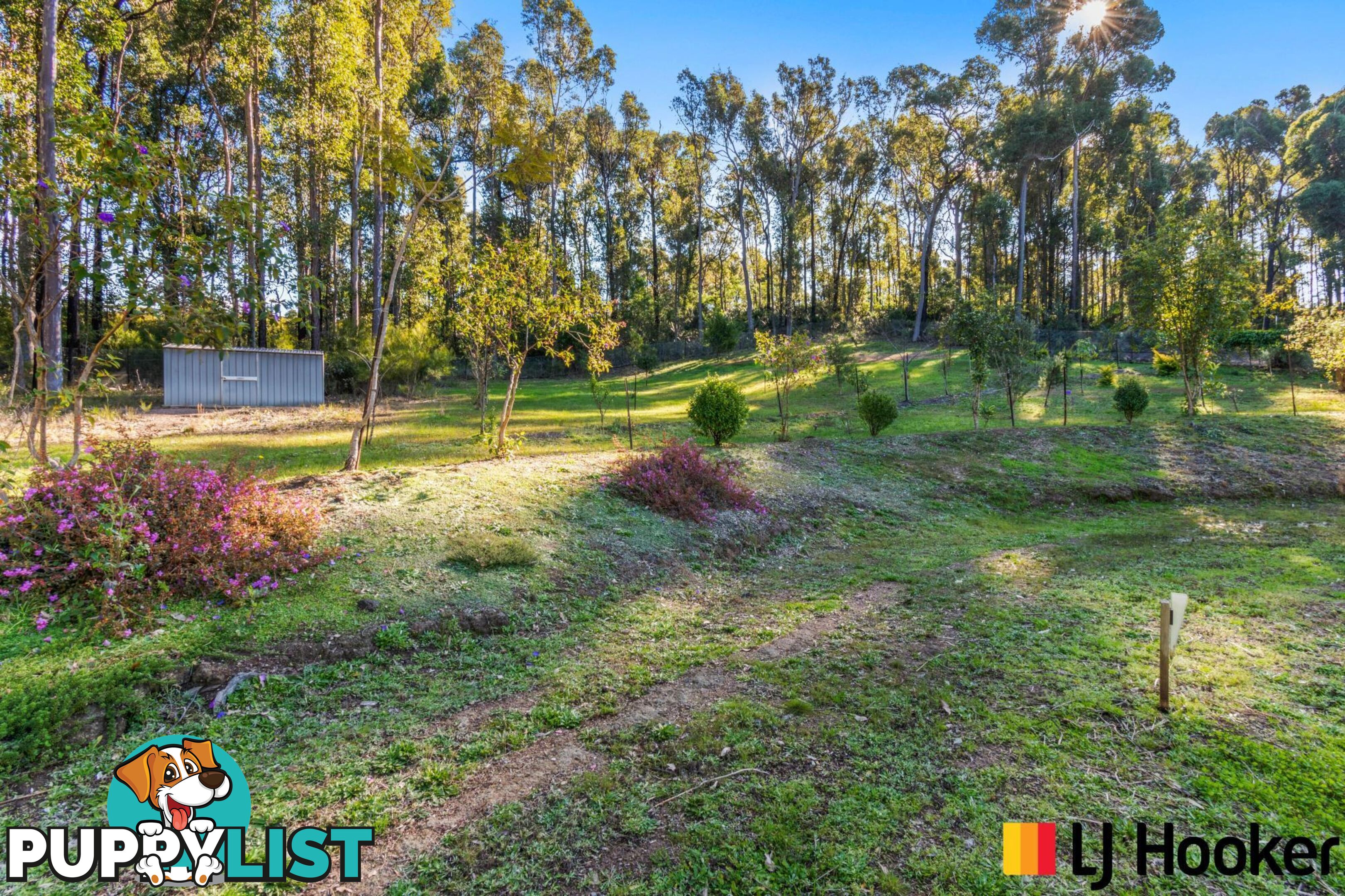 5 Annies Lane ROSEDALE NSW 2536