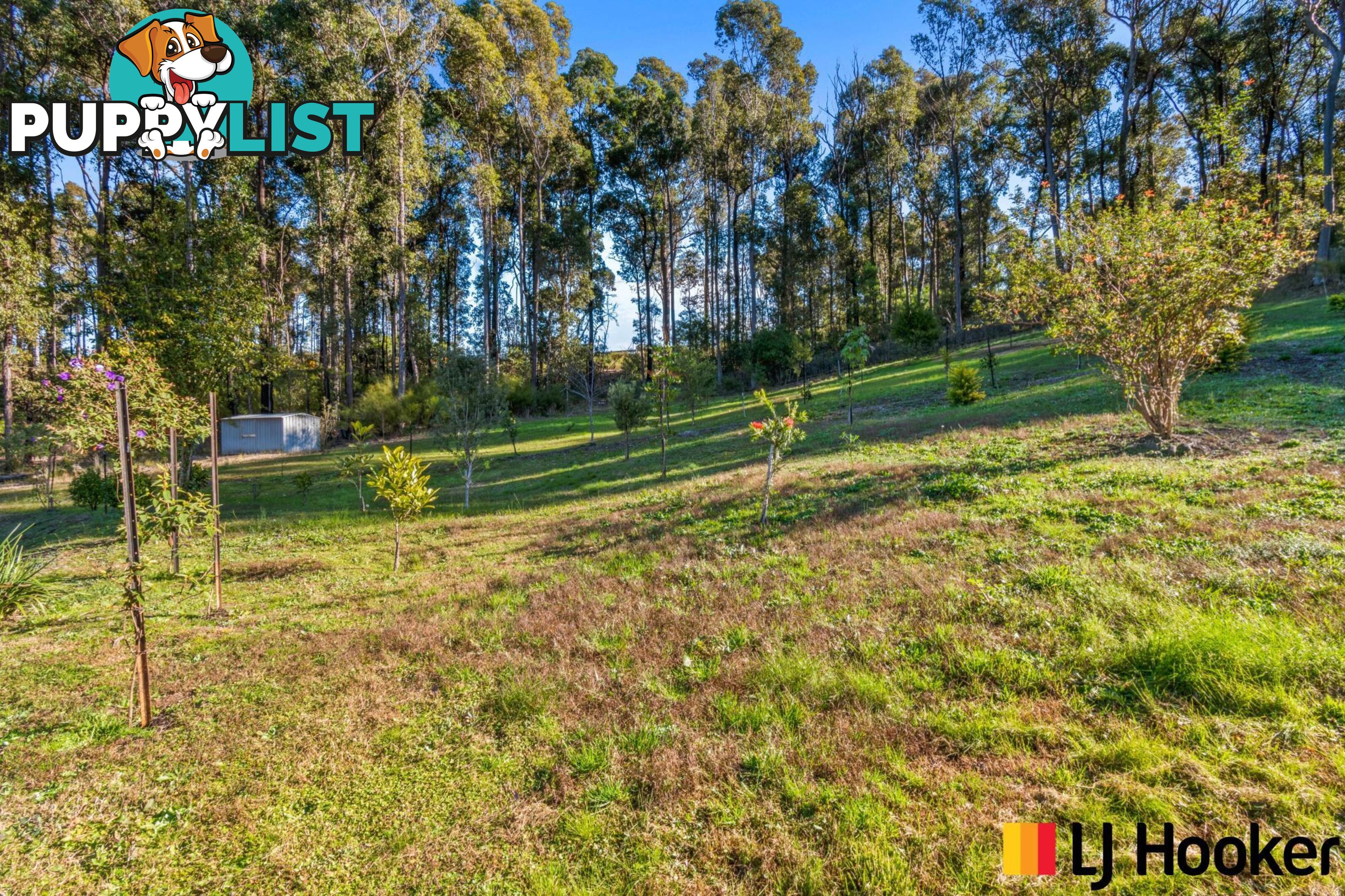 5 Annies Lane ROSEDALE NSW 2536