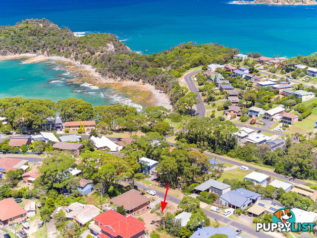 24 Mulgowrie Street MALUA BAY NSW 2536