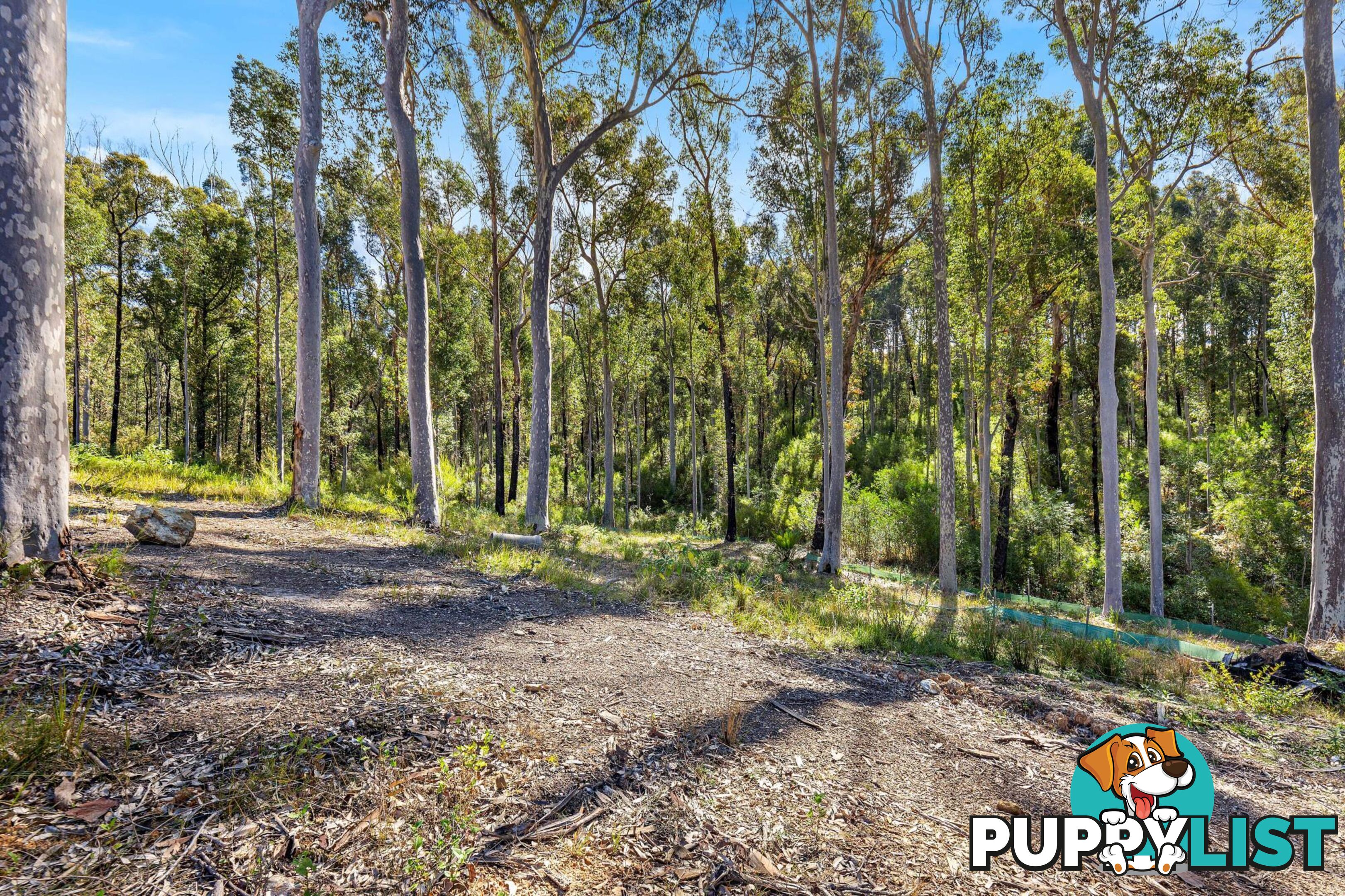 Lot 51 Banksia Grove MALUA BAY NSW 2536