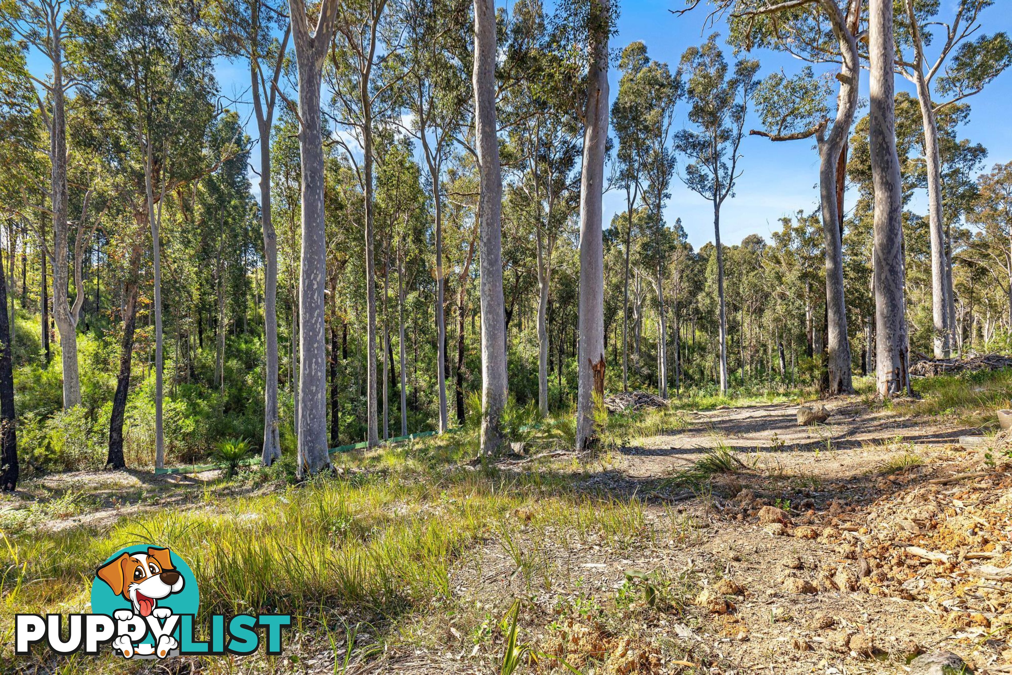 Lot 51 Banksia Grove MALUA BAY NSW 2536