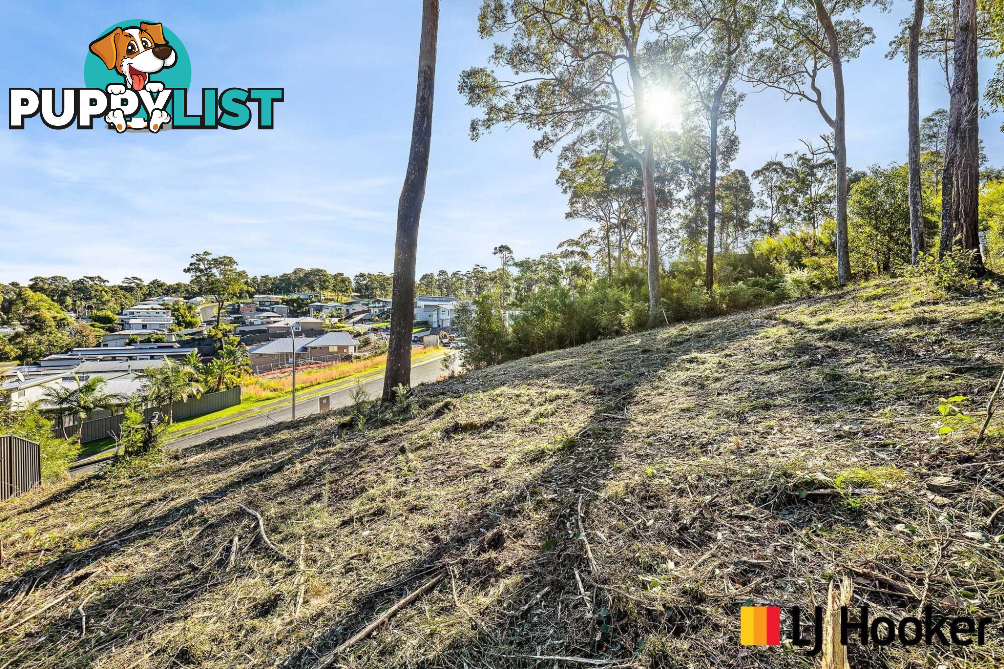 3 Currawong Crescent MALUA BAY NSW 2536