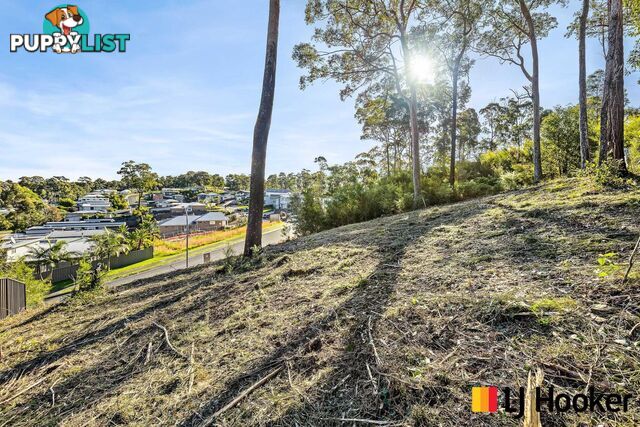 3 Currawong Crescent MALUA BAY NSW 2536