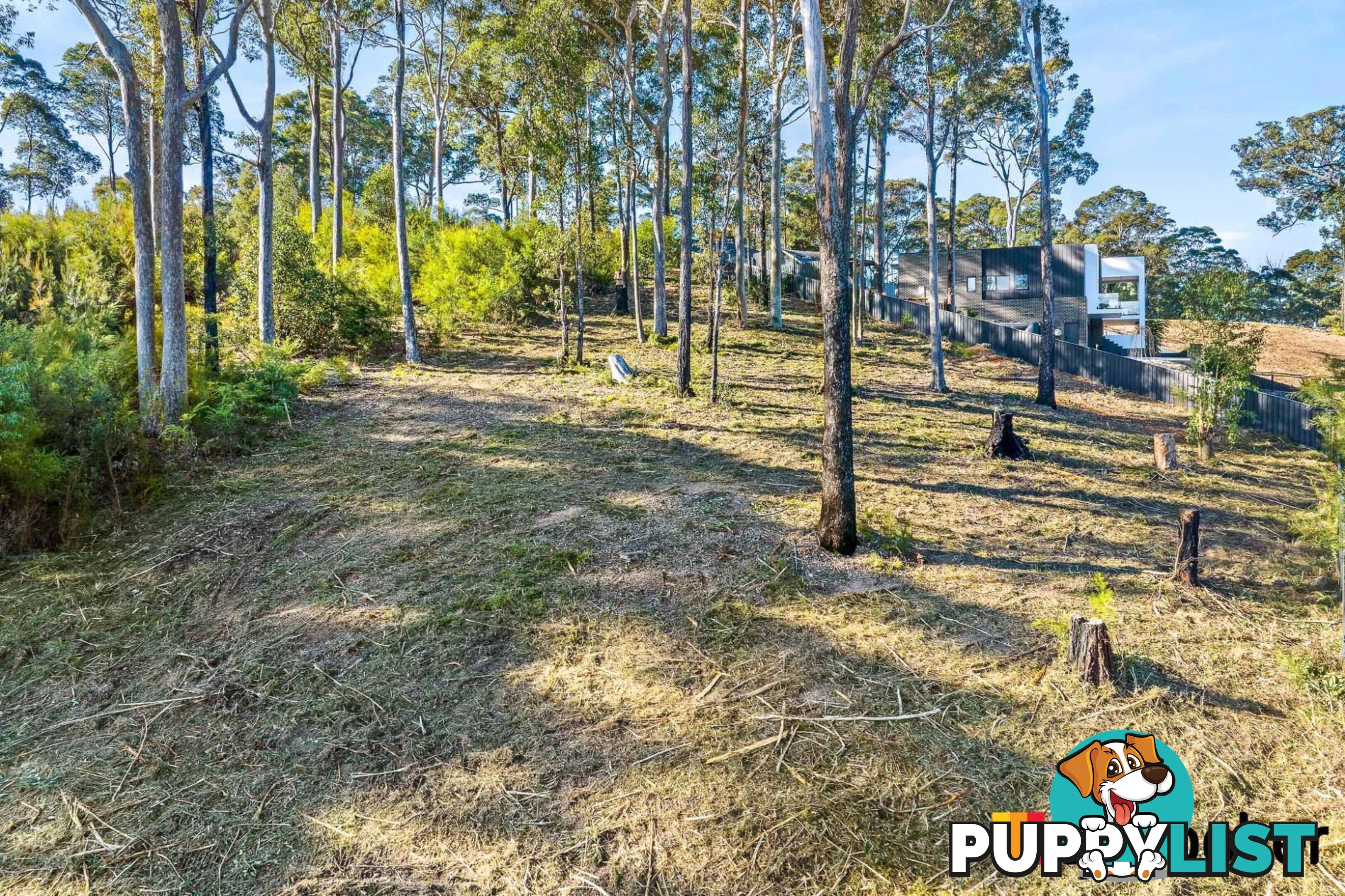 3 Currawong Crescent MALUA BAY NSW 2536