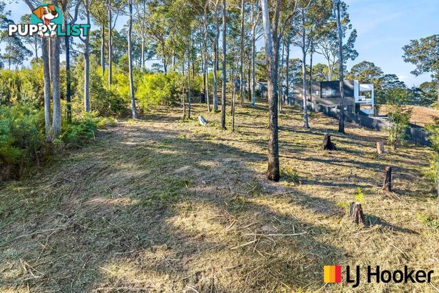 3 Currawong Crescent MALUA BAY NSW 2536