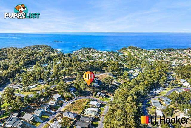 3 Currawong Crescent MALUA BAY NSW 2536